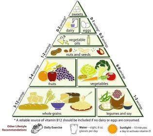 Loma_Linda_University_Vegetarian_Food_Pyramid